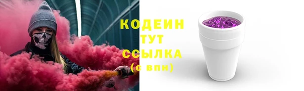 тгк Абаза