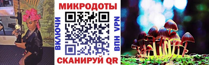 Псилоцибиновые грибы Psilocybe Фрязино